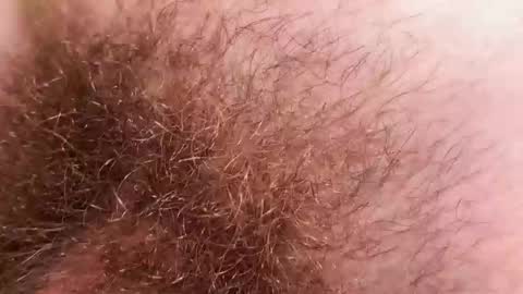 Arnold online show from December 2, 9:21 pm