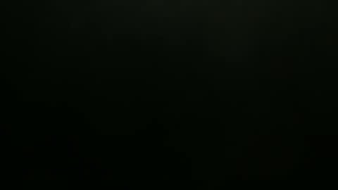 hibus_85 online show from November 7, 1:33 pm