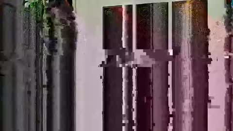 Snapshot of highandhell chatting on February 19, 12:50 am Highandhell online show from February 19, 12:50 am