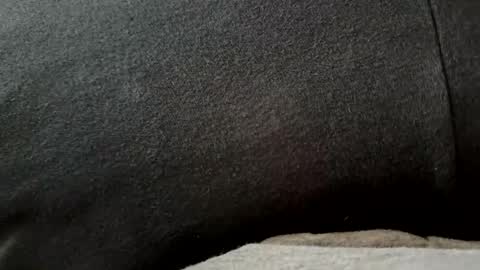 higheguy online show from February 20, 5:46 pm