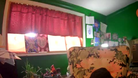 Snapshot of hippiedad333 chatting on June 16, 9:17 pm hippiedad333 online show from June 16, 9:17 pm