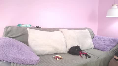 hiyakasudere_ online show from December 3, 6:28 pm