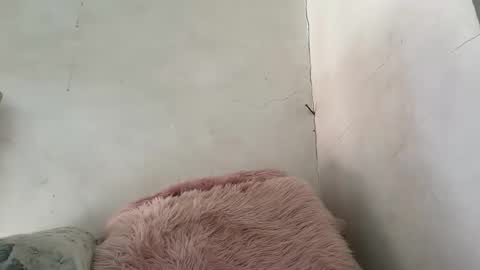 holly_wyn online show from March 24, 12:15 am