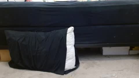 Holly Hawkes online show from January 16, 6:35 am