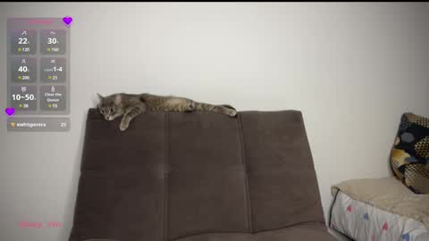 Snapshot of holybabe342 chatting on March 1, 8:21 pm Vio online show from March 1, 8:21 pm