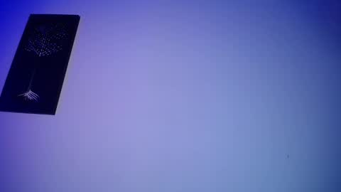 Honney online show from February 14, 3:22 am