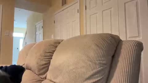 honey_man14 online show from February 17, 1:53 pm