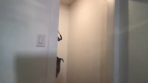 HoneyBeeXx69 online show from March 5, 2:25 am