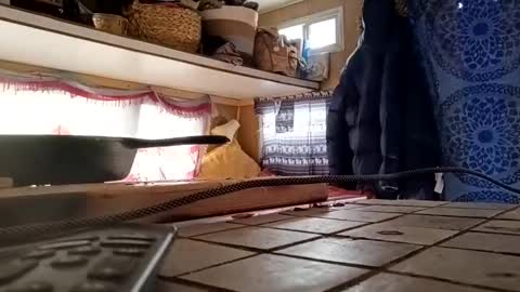 hoodoou online show from December 20, 7:21 pm