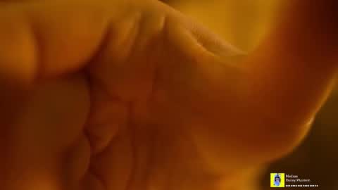 Horney Jozy online show from November 7, 6:52 pm