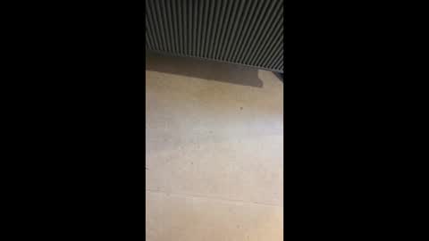 horny4more691 online show from March 10, 6:57 pm