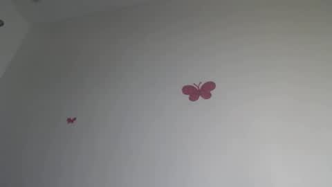 Iris online show from January 15, 7:28 pm