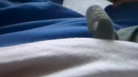 Snapshot of hornyallthetime6969696969 chatting on July 8, 1:32 am Tiny cock online show from July 8, 1:32 am