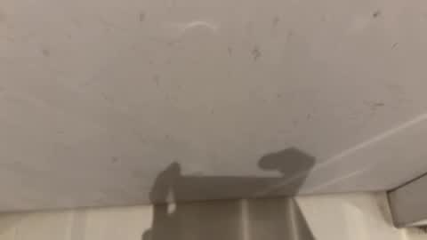 Snapshot of hornybear420420420 chatting on March 2, 9:16 am hornybear420420420 online show from March 2, 9:16 am