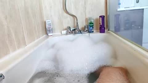 hornybiker1987 online show from November 25, 12:05 pm