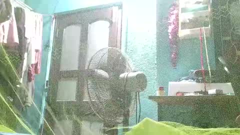 hornylucifer8 online show from December 3, 10:29 pm