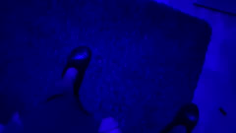 Snapshot of hornystroker21 chatting on October 19, 2:01 am hornystroker21 online show from October 19, 2:01 am