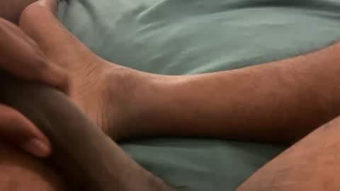 Bbc horsey online show from October 1, 2:06 am