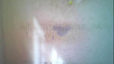 Coco online show from November 1, 8:16 am