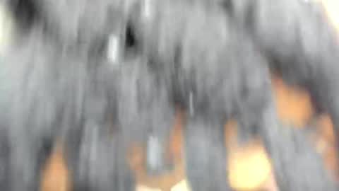 hot_moxie online show from November 15, 4:43 am