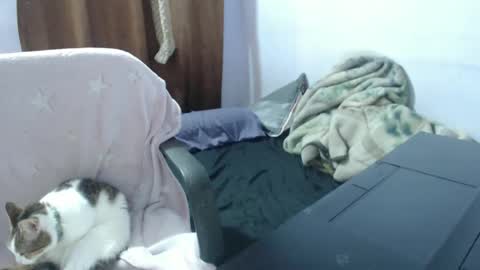 Snapshot of hotandpower10 chatting on November 14, 3:49 am Hot and PowerHOPE U MISS ME online show from November 14, 3:49 am