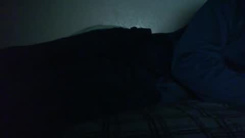 Bitch for abuse online show from November 1, 6:43 pm