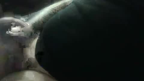 hotcream259 online show from January 9, 3:04 am