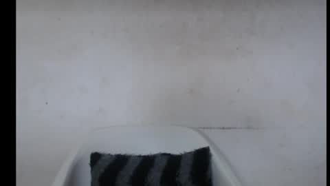 Snapshot of hotjessie0 chatting on October 7, 5:04 am hotjessie0 online show from October 7, 5:04 am