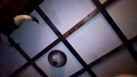 hotloads1992 online show from January 10, 1:18 am