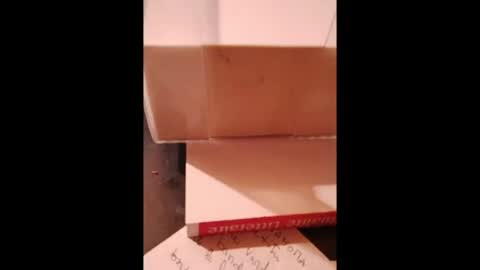Snapshot of hotlux_54 chatting on July 18, 11:30 pm hotlux_54 online show from July 18, 11:30 pm