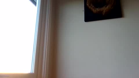 hototo2 online show from November 25, 11:32 am