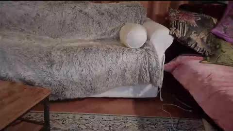 Snapshot of hotpeppersx chatting on October 31, 8:21 pm Betty boob online show from October 31, 8:21 pm