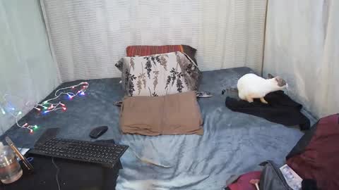 hottiedanicatrans69 online show from May 18, 8:58 pm