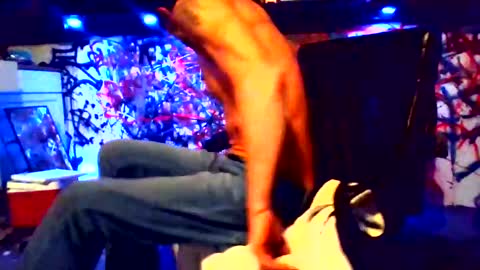 ask me online show from February 12, 12:22 pm