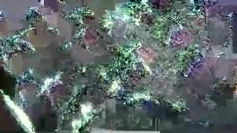 Snapshot of hp58649blabla chatting on September 17, 1:07 am hp58649blabla online show from September 17, 1:07 am