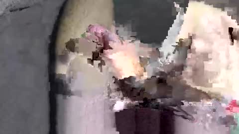 Huge dick online show from December 2, 6:03 pm