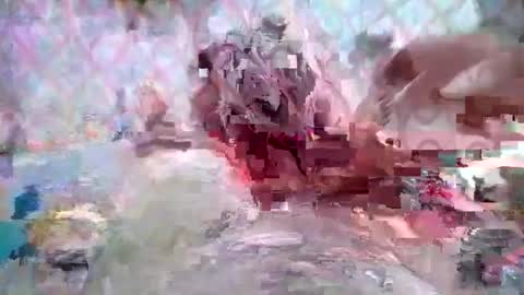 Huge dick online show from March 8, 5:28 pm