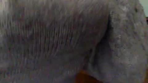 Goddess Hunyy online show from March 1, 10:10 pm