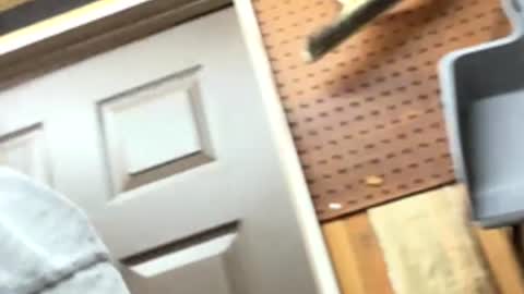 huskey300 online show from February 4, 10:26 pm