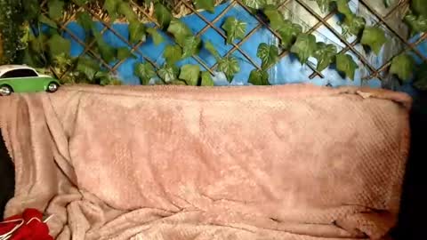 Kayla online show from December 21, 4:30 am