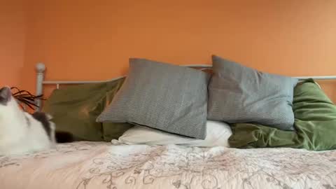 Snapshot of i_love_olive chatting on October 24, 11:12 pm Olive online show from October 24, 11:12 pm