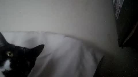 Snapshot of iamryan995442 chatting on April 7, 5:35 pm iamryan995442 online show from April 7, 5:35 pm