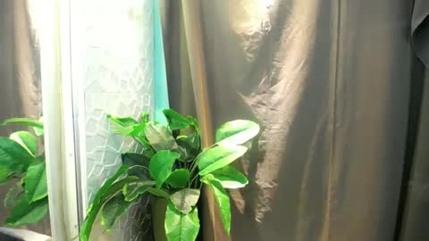 Heart online show from February 3, 6:35 pm