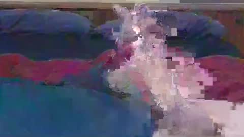 Snapshot of ihavebigballs00 chatting on December 17, 3:06 am ihavebigballs00 online show from December 17, 3:06 am