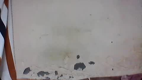 iiiirasoa online show from July 12, 6:37 am