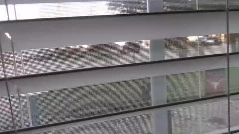 Michael online show from January 1, 10:56 pm