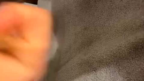 Snapshot of iltjoal69 chatting on March 5, 10:33 am iltjoal69 online show from March 5, 10:33 am