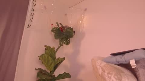 Snapshot of im__kaia chatting on January 9, 7:59 pm Kaia online show from January 9, 7:59 pm