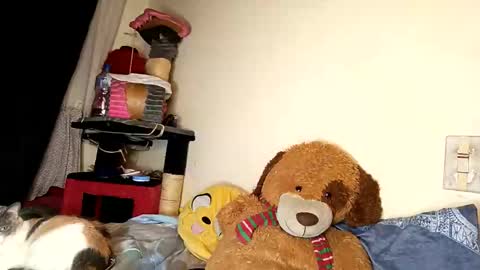 im_dereck_martinez_69 online show from October 11, 6:01 am