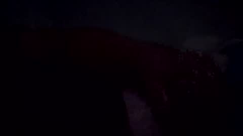 im_free_0121 online show from June 30, 10:38 am